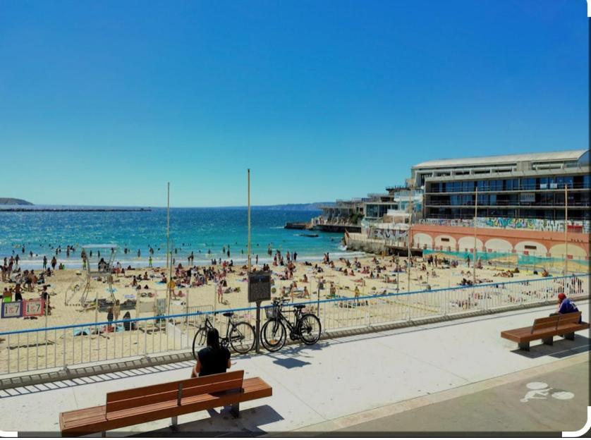Studio Toit Terrasse Vieux Port مارسيليا المظهر الخارجي الصورة